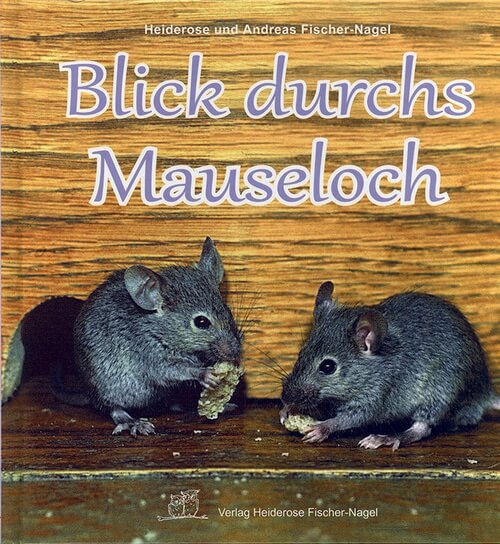 Blick durchs Mauseloch
