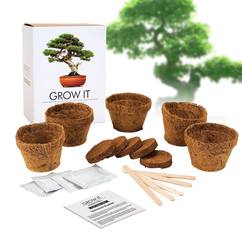 Bonsai Baum Set - Selber pflanzen Bonsai Baum Set - Selber pflanzen von Monsterzeug