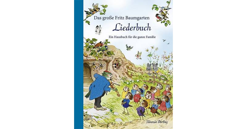 Buch - Das große Fritz Baumgarten Liederbuch