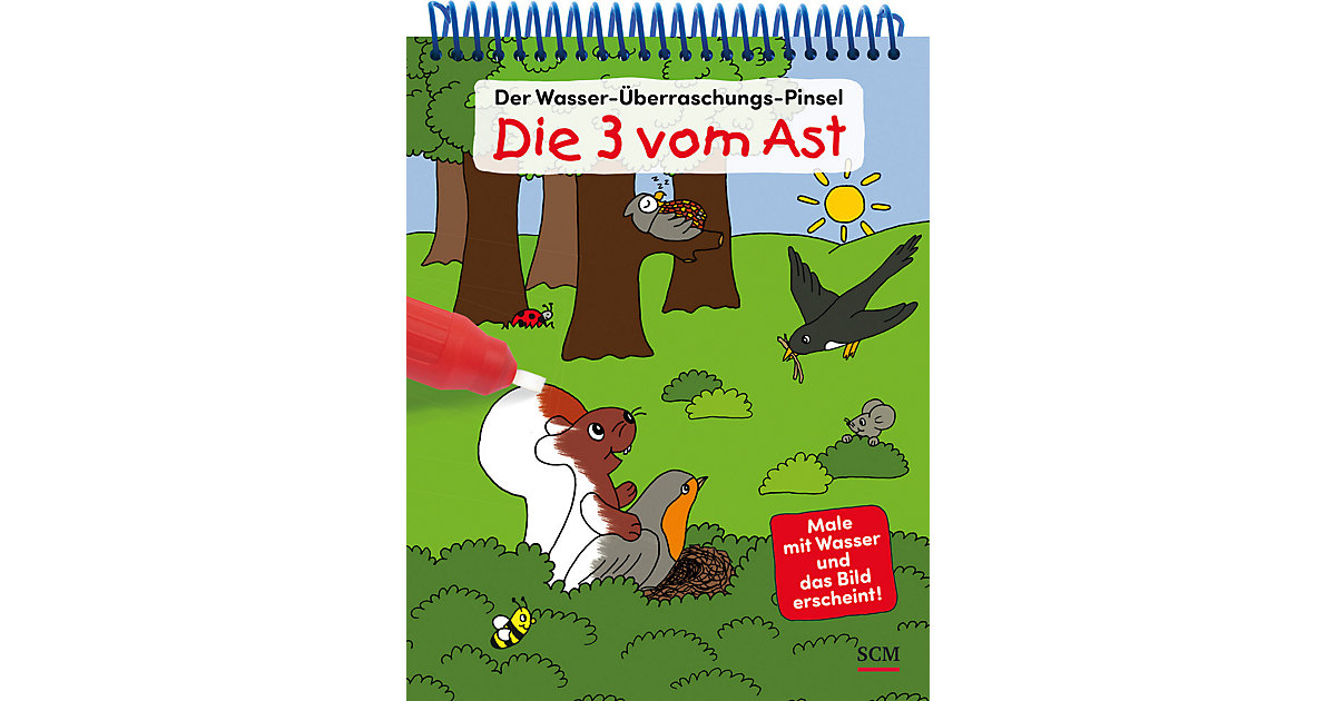 Buch - Der Wasser-Überraschungs-Pinsel - Die Drei vom Ast Buch - Der Wasser-Überraschungs-Pinsel - Die Drei vom Ast von SCM Verlag