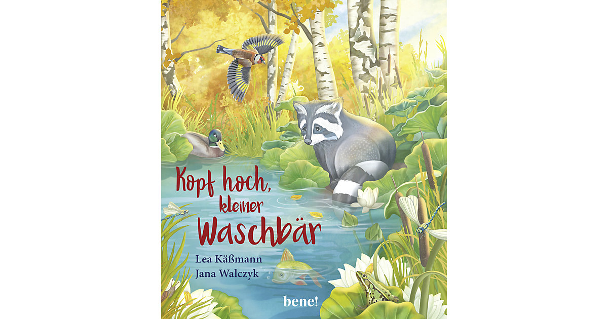 Buch - Kopf hoch, kleiner Waschbär - ein Bilderbuch Kinder ab 2 Jahren  Kinder
