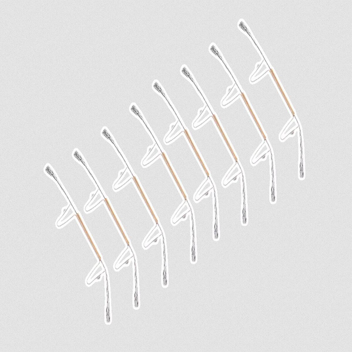 Carrera - First Schleifer