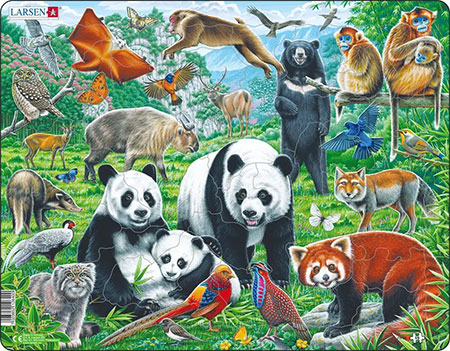 Chinas Wildnis