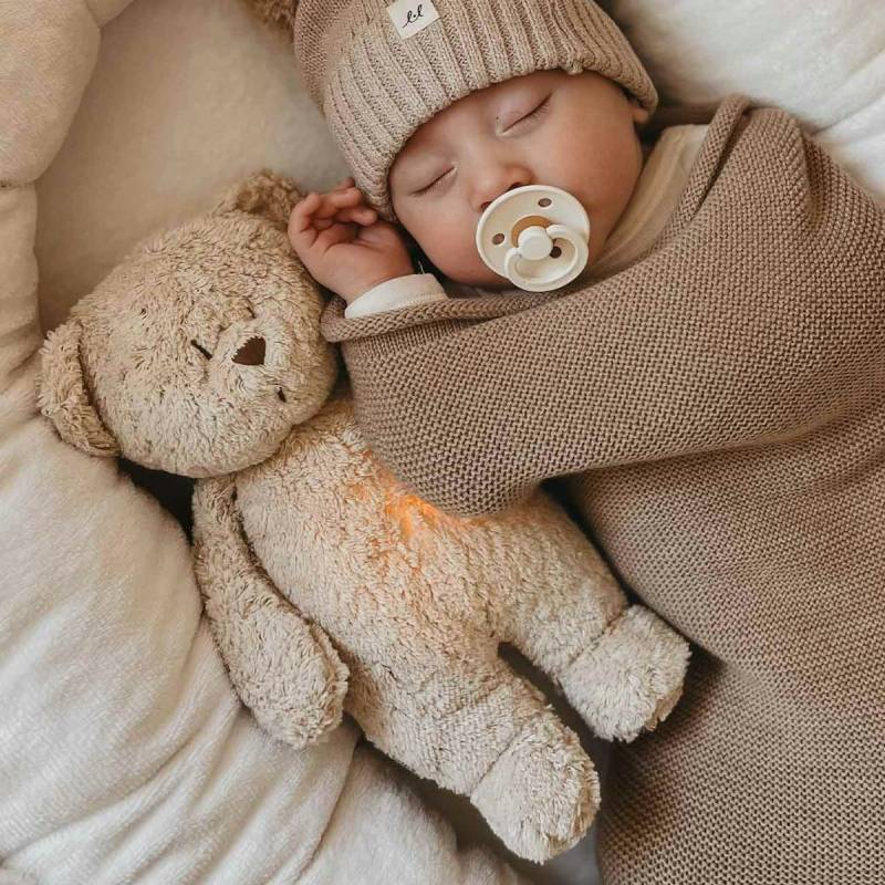 Der Bio-Summbär mit Lampe sand