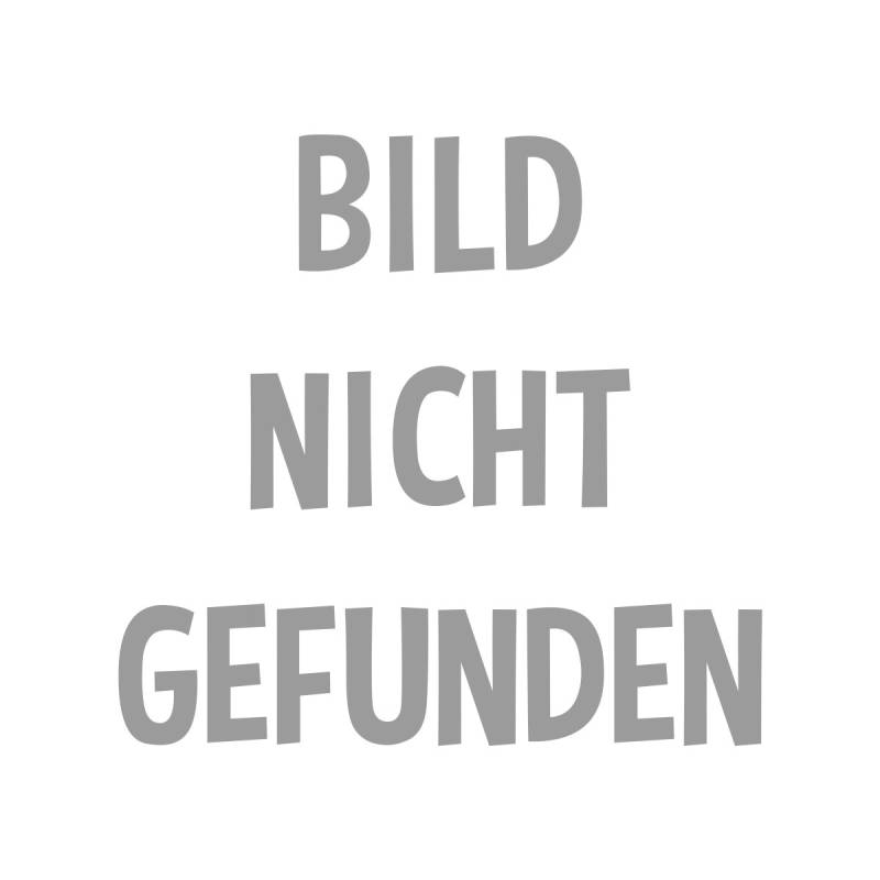 EXIT: Das Spiel | Fourth Wing (Das erste Jahr)