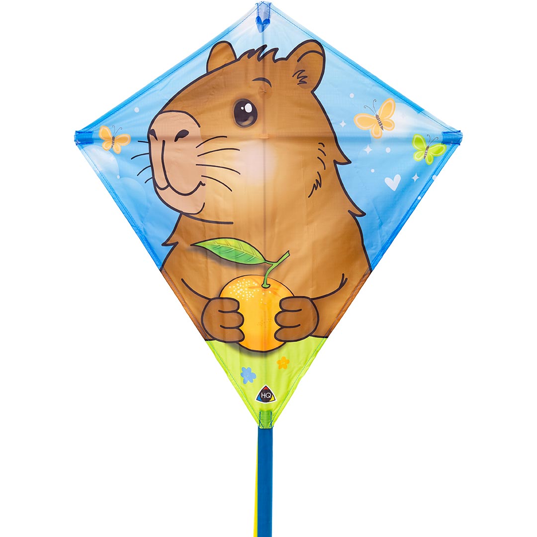Einlein-Kinderdrachen EDDY CAPYBARA 68x68cm auf 40m Spule Spielzeug + Gadgets
