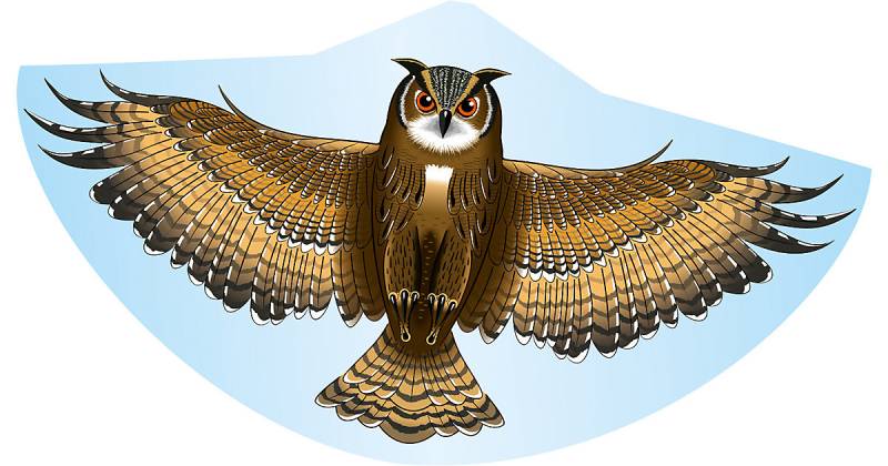 Einleinerdrachen 122x68 cm