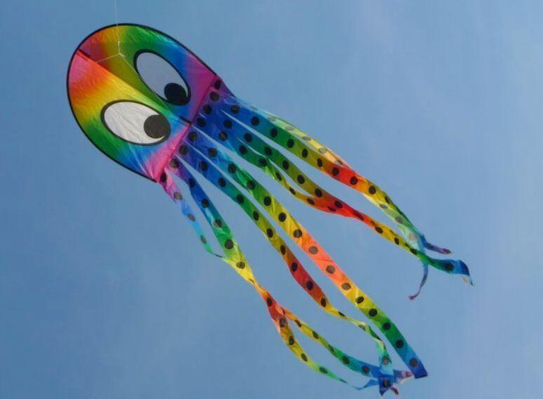 Elliot - Kinderdrachen - Kalle Krake 50x190cm R2F Elliot - Kinderdrachen - Kalle Krake 50x190cm R2F