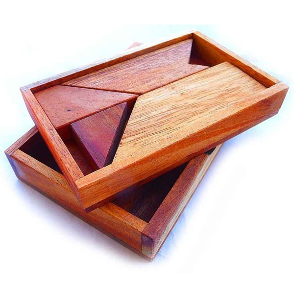 Euclid Serie: T Puzzle - 100 Puzzles in 1 Euclid Serie: T Puzzle - 100 Puzzles in 1