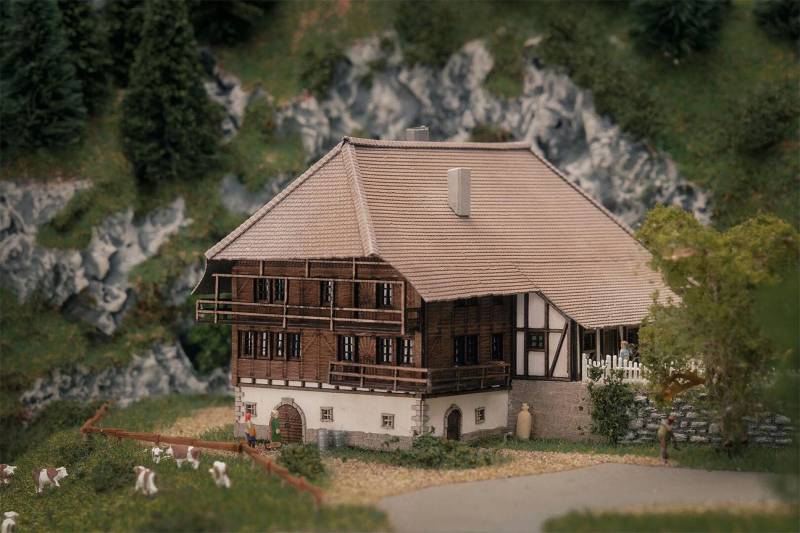 Faller Schwarzwaldhof Jubiläumsmodell Z 1:220 282784 Modelleisenbahn Bausatz