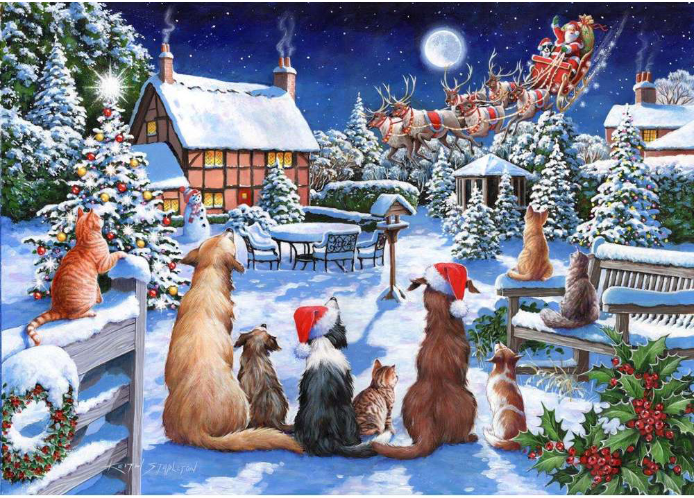 Finde die Unterschiede: Santas tierische Helfer