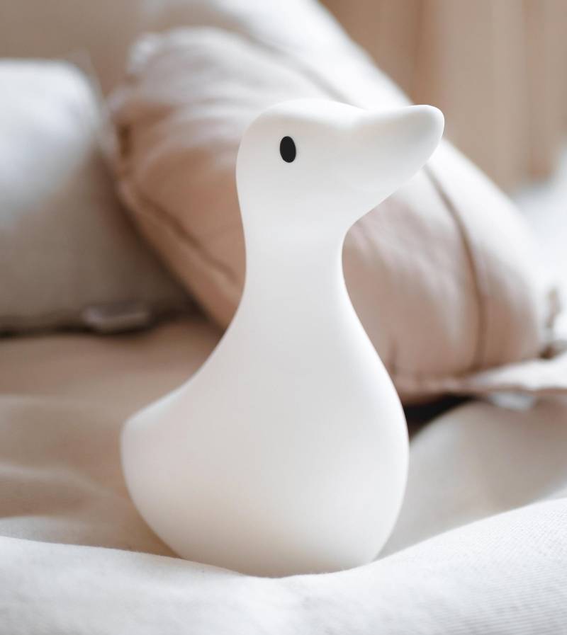 Flow Amsterdam - Nachtlicht Gans Liva
