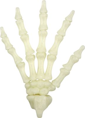 Fluoreszierende Skelett-Hand - Wild+Cool