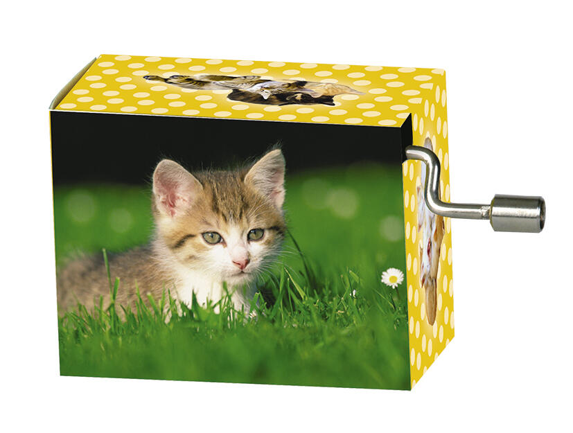 Fridolin - Spieluhr, La Le Lu, Tierkinder, Katze in der Wiese
