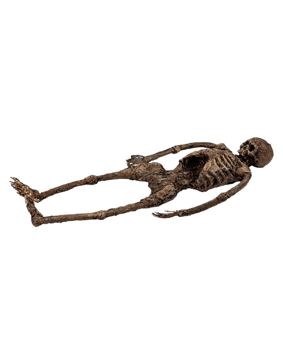 Ganzkörper Moorleiche Skelett 145cm