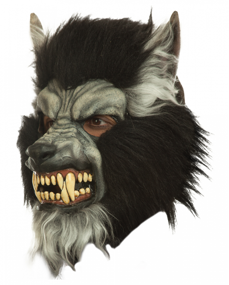 Graue Wolf Maske mit Reißzähnen