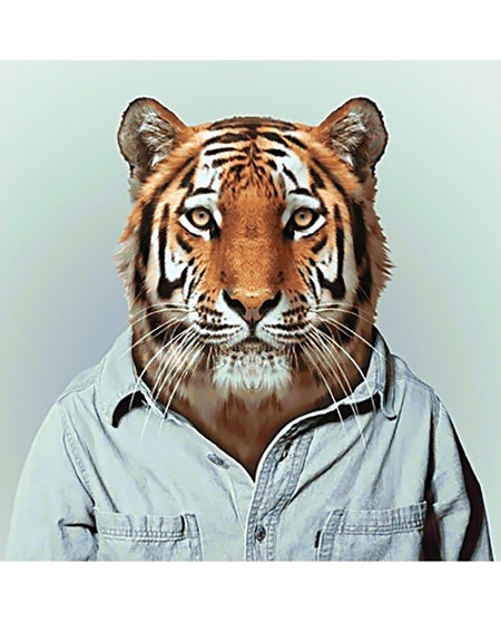 Herr Tiger