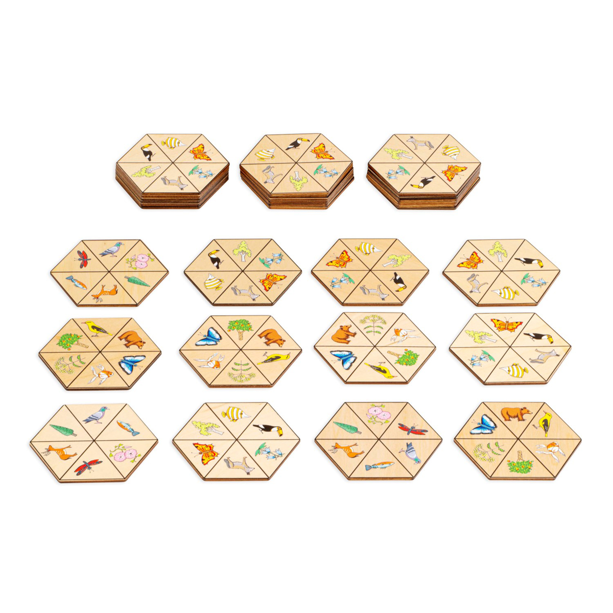 Hexagon nature