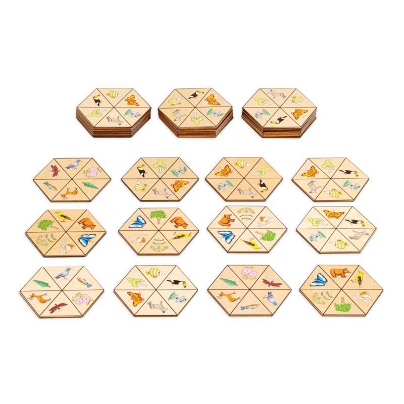 Hexagon nature Hexagon nature