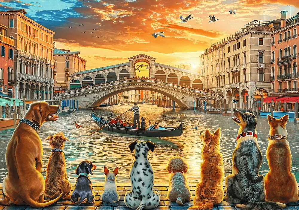 Hunde in Venedig