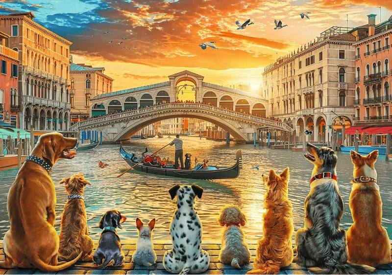 Hunde in Venedig