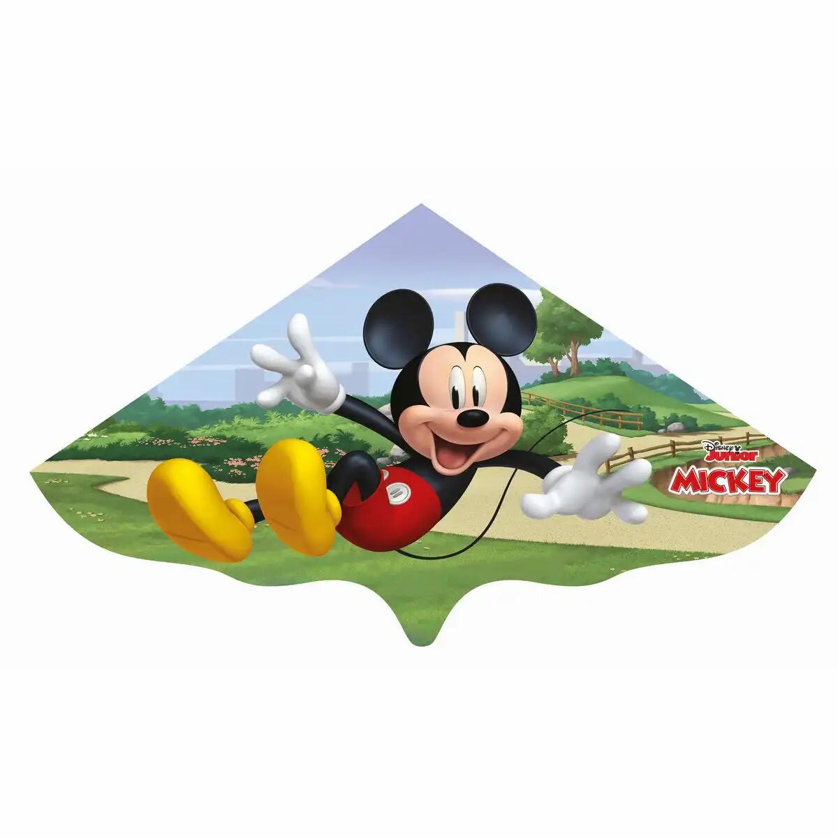 Iden - Paul Günther Einleinerdrachen Disney Micky Maus