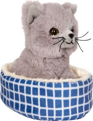Katze Nala im Korb - Lustige Tierparade Katze Nala im Korb - Lustige Tierparade