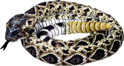 Klapperschlange Nature Zoom Wild