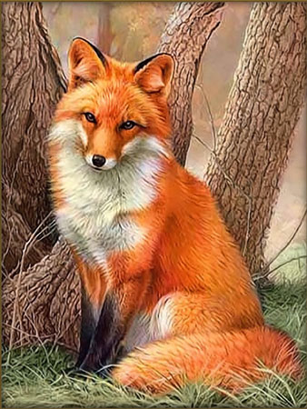 Kleiner Rotfuchs