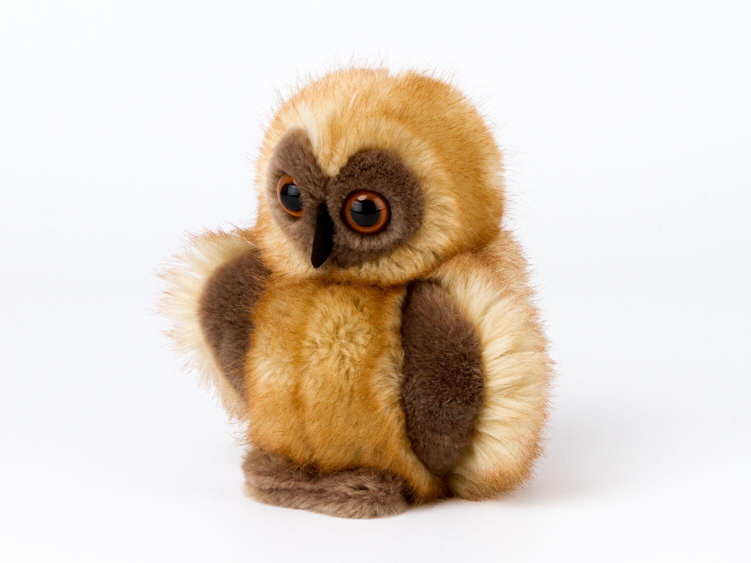 Kösen - Eule klein Kösen - Eule klein