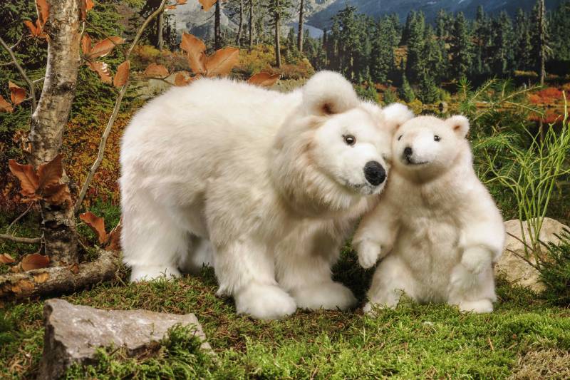 Kösen - Geisterbär klein Kösen - Geisterbär klein
