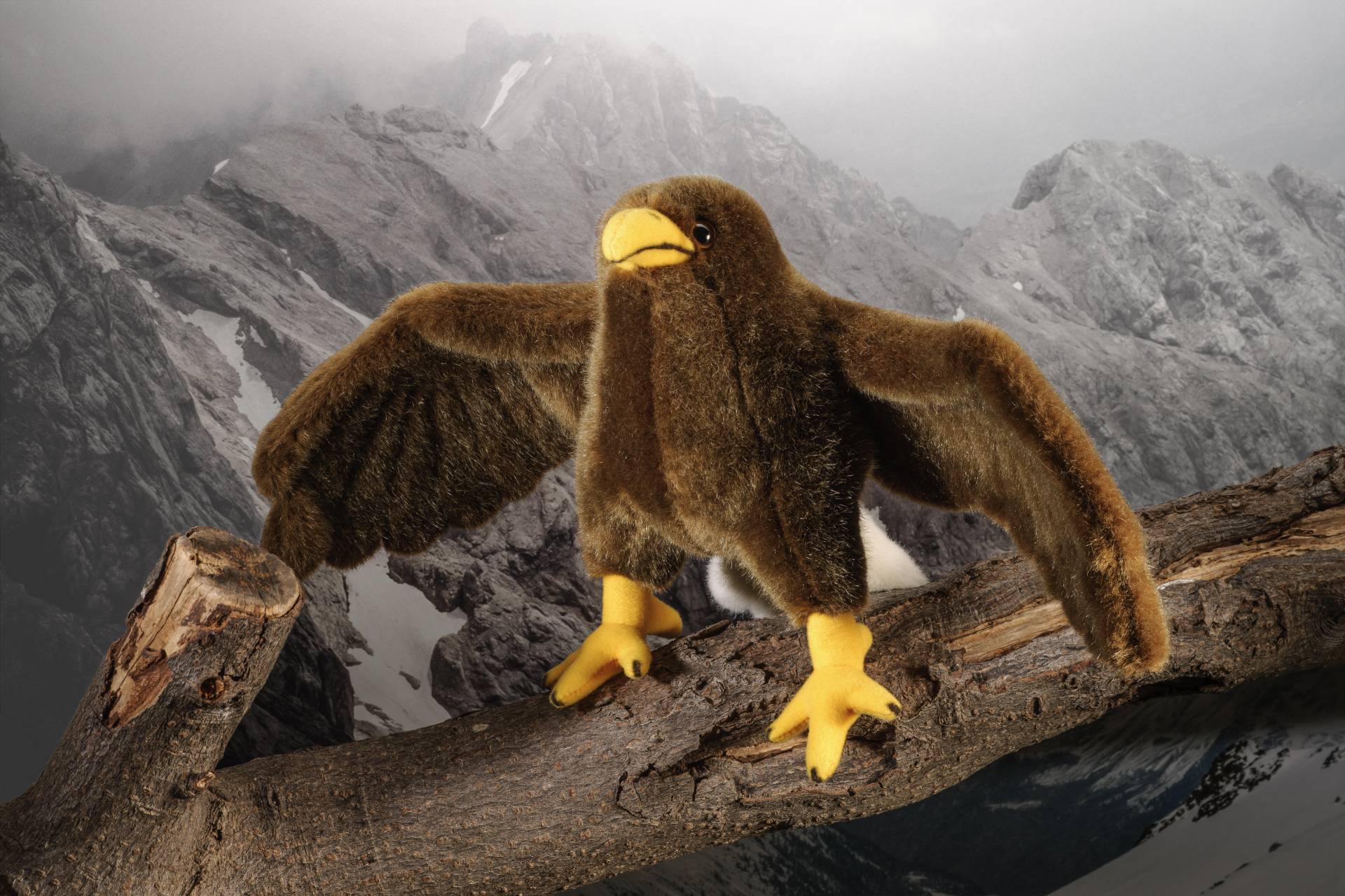 Kösen - Kleiner Adler Kösen - Kleiner Adler