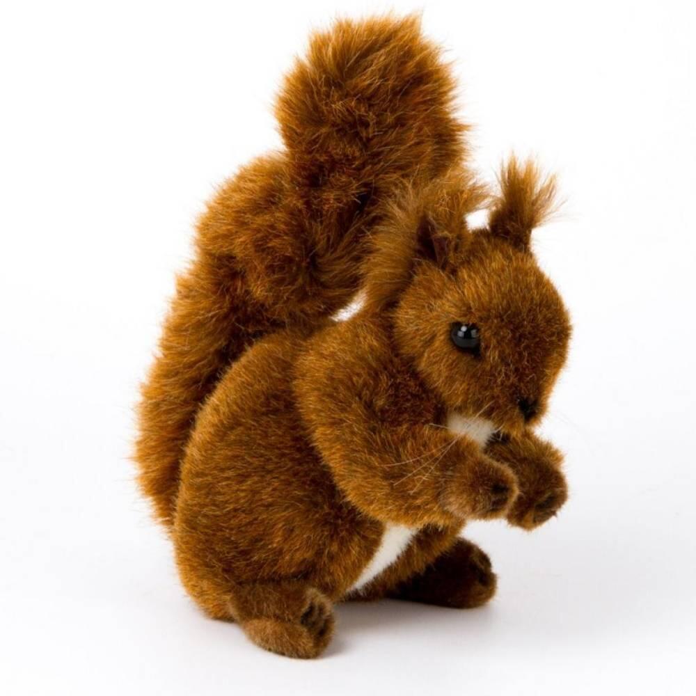 Kösen - Kösen Eichhörnchen groß