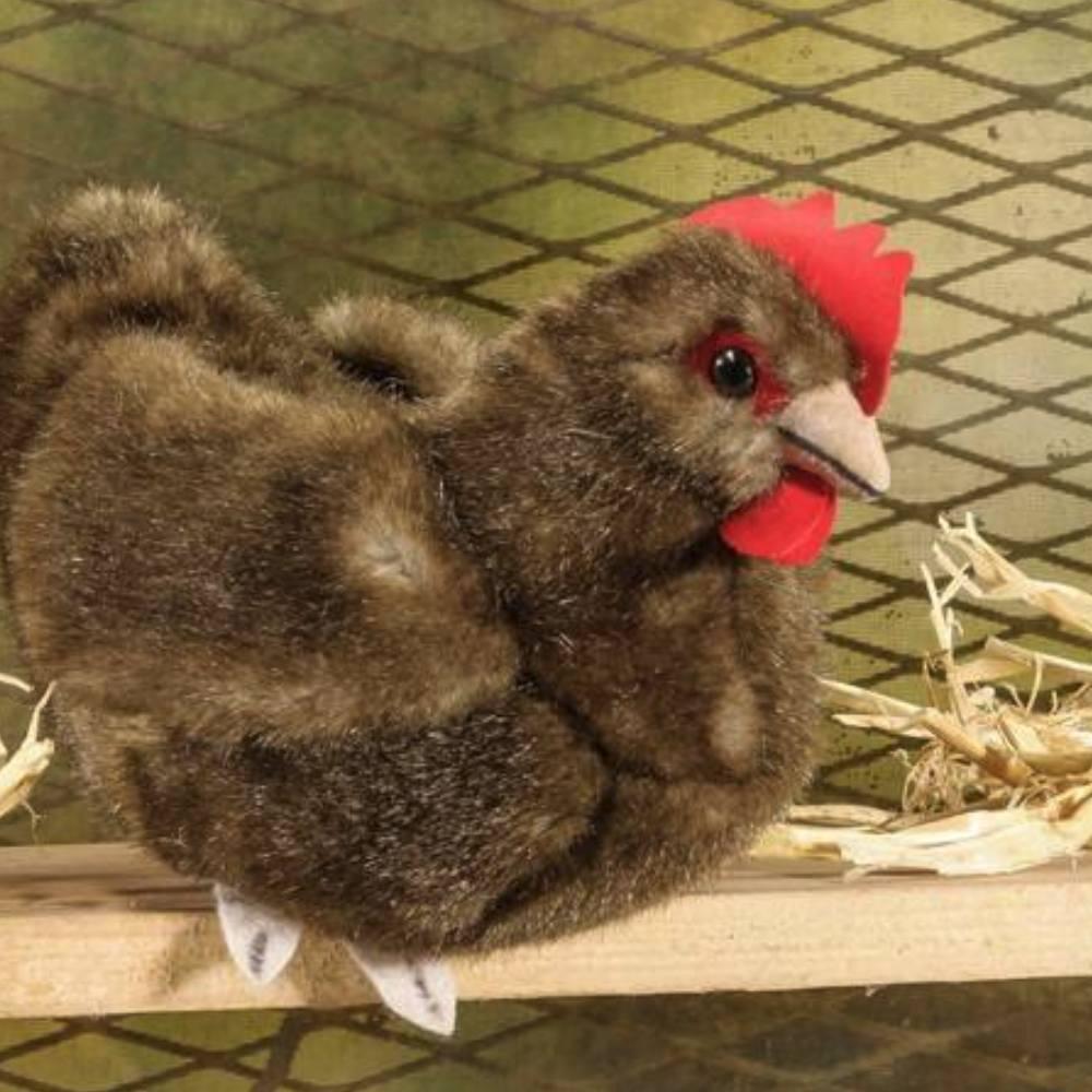 Kösen - Kösen Huhn, klein, braun Kösen - Kösen Huhn, klein, braun