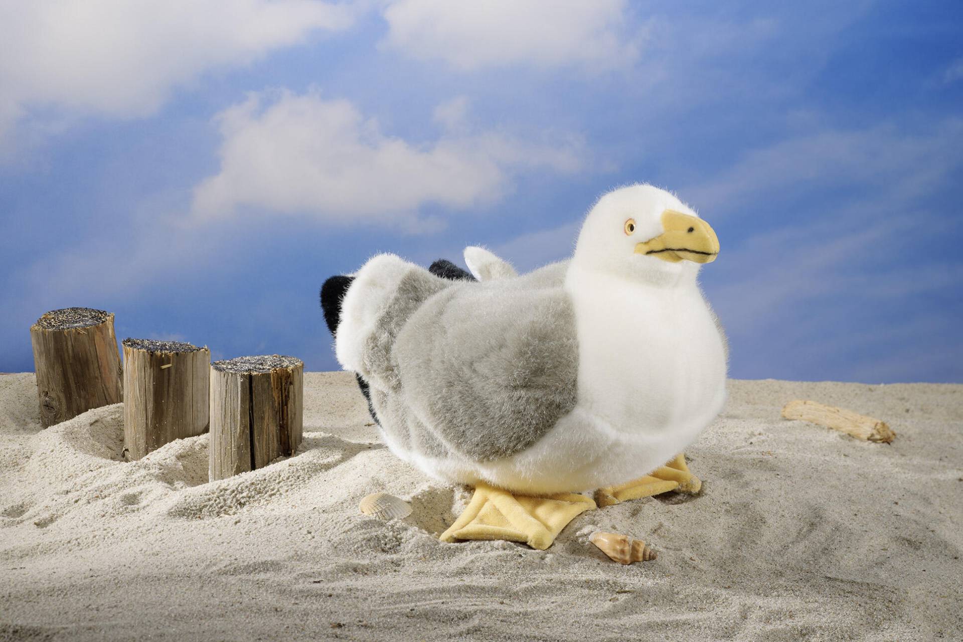 Kösen - Kösen – Möwe