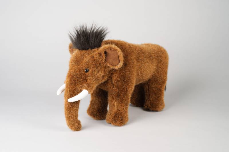 Kösen - Mammut klein Kösen - Mammut klein