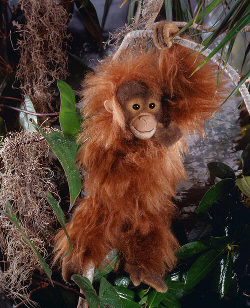 Kösen - ORANG-UTA SATU ROTBRAUN 40CM