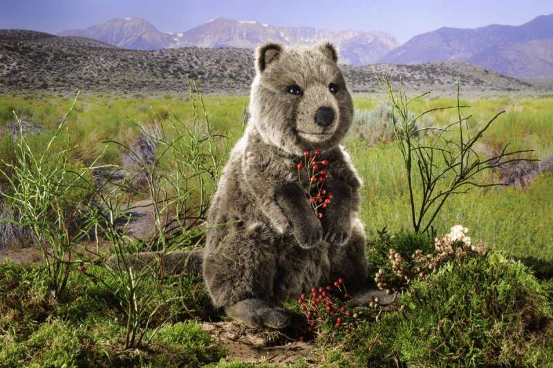 Kösen - Quokka mittel Kösen - Quokka mittel