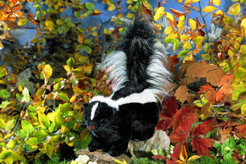 Kösen - Stinktier Hugo Kösen - Stinktier Hugo