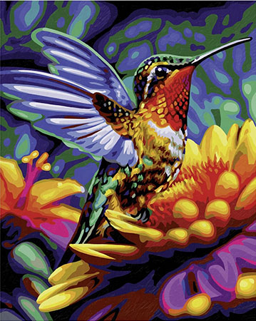 Kolibri Kolibri