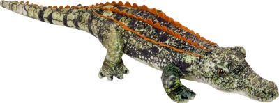 Krokodil - Nature Zoom Wild Krokodil - Nature Zoom Wild