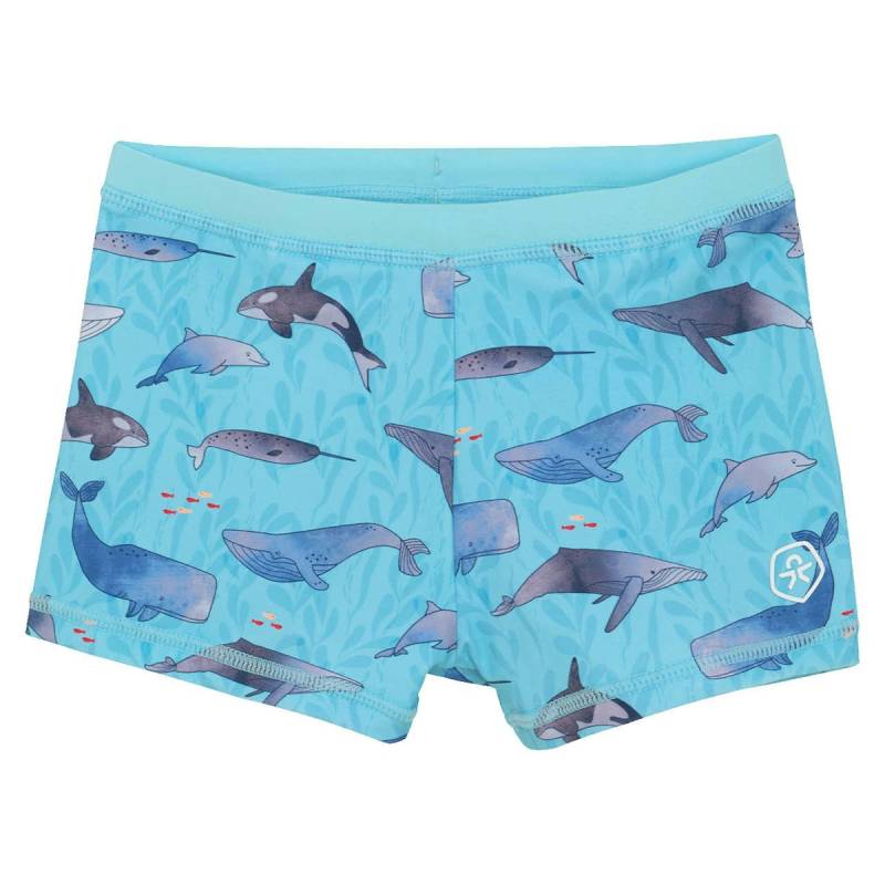 Kurze Badehose Fische blau 98 Kurze Badehose Fische blau 98