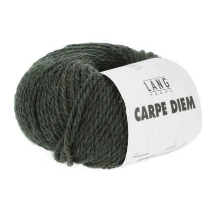 Lang Garne Carpe Diem Garn 398 Olive Melange von Lang Yarns
