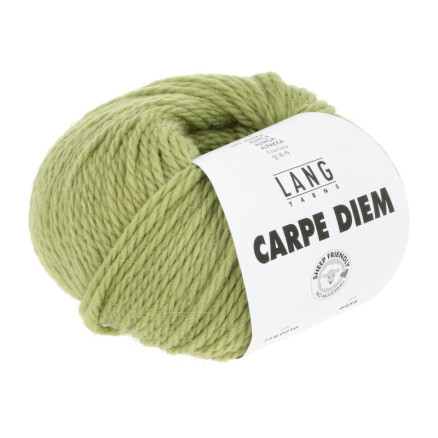 Lang Yarns Carpe Diem Garn 216 Matcha von Lang Yarns