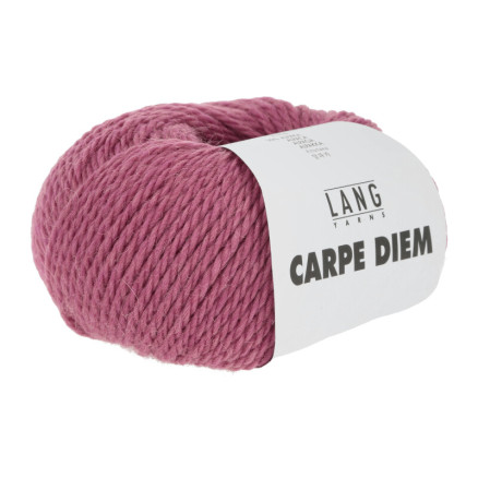 Lang Yarns Carpe Diem Garn 365 Hallon Melange von Lang Yarns