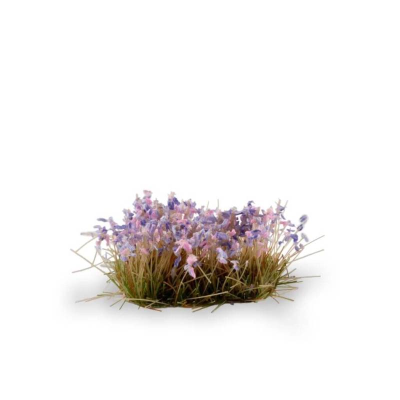 Lavendel Lavendel
