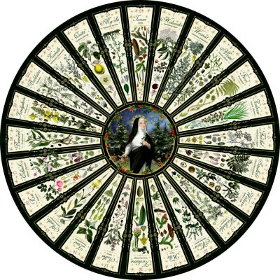 Leben mit der Natur - Hildegard von Bingen, Wand-Adventskalender (Behr)
