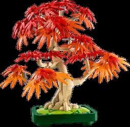 Lego - LEGO Botanicals Japanischer Roter Ahorn Bonsai Baum