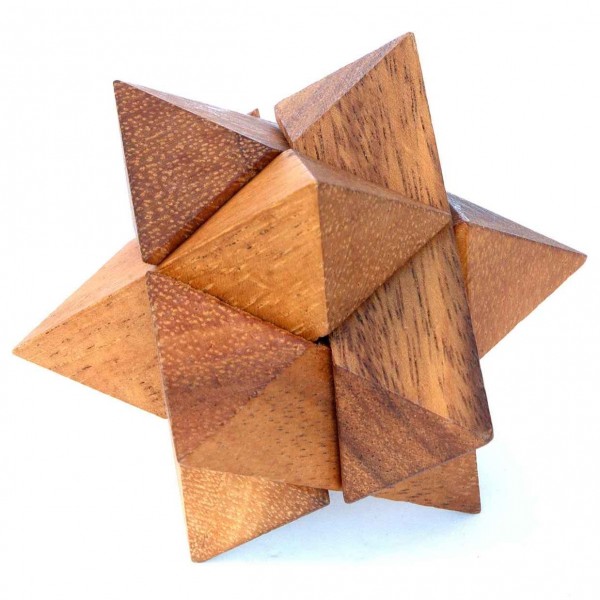 Leonardo's Mind Puzzles: Polarstern Leonardo's Mind Puzzles: Polarstern