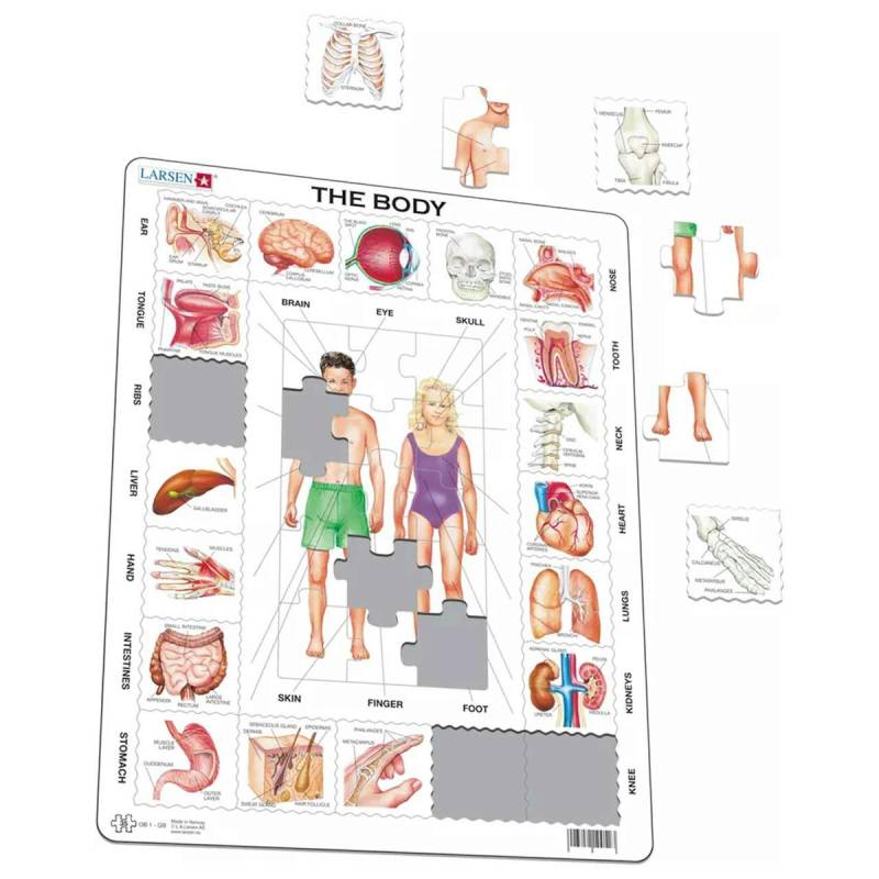 Lernpuzzle Anatomie für Kinder ab 6 Jahre Lernpuzzle Anatomie für Kinder ab 6 Jahre